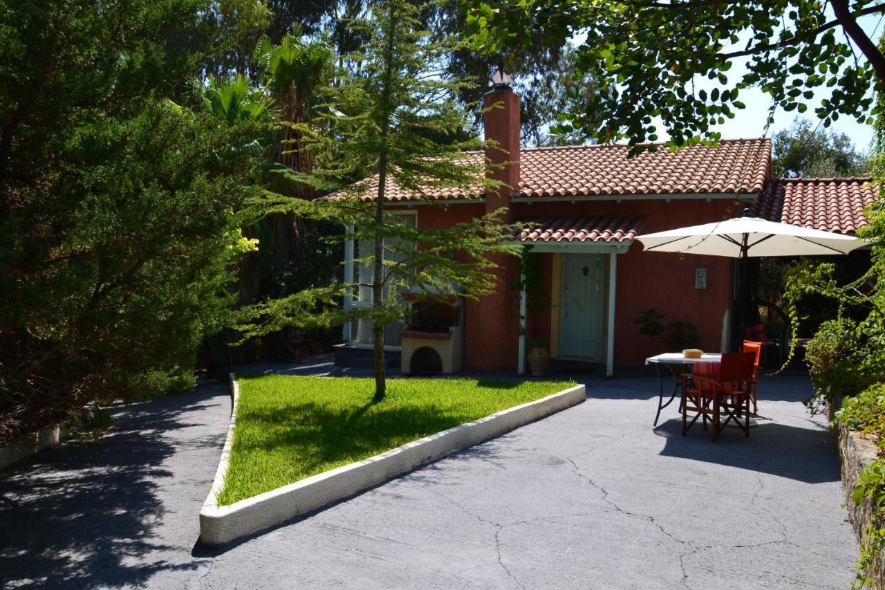 Mihaila Seaside: 2 Bedroom Bungalows Kefalonia Spartià Eksteriør billede